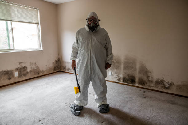 Best Biohazard Mold Removal  in Hughson, CA